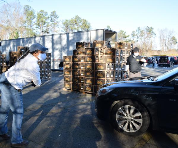 Food Box Distribution at the DeKalb Tax Commissioner's Office (Feb 10, 2021)